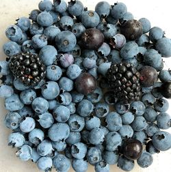 Close-up of berries