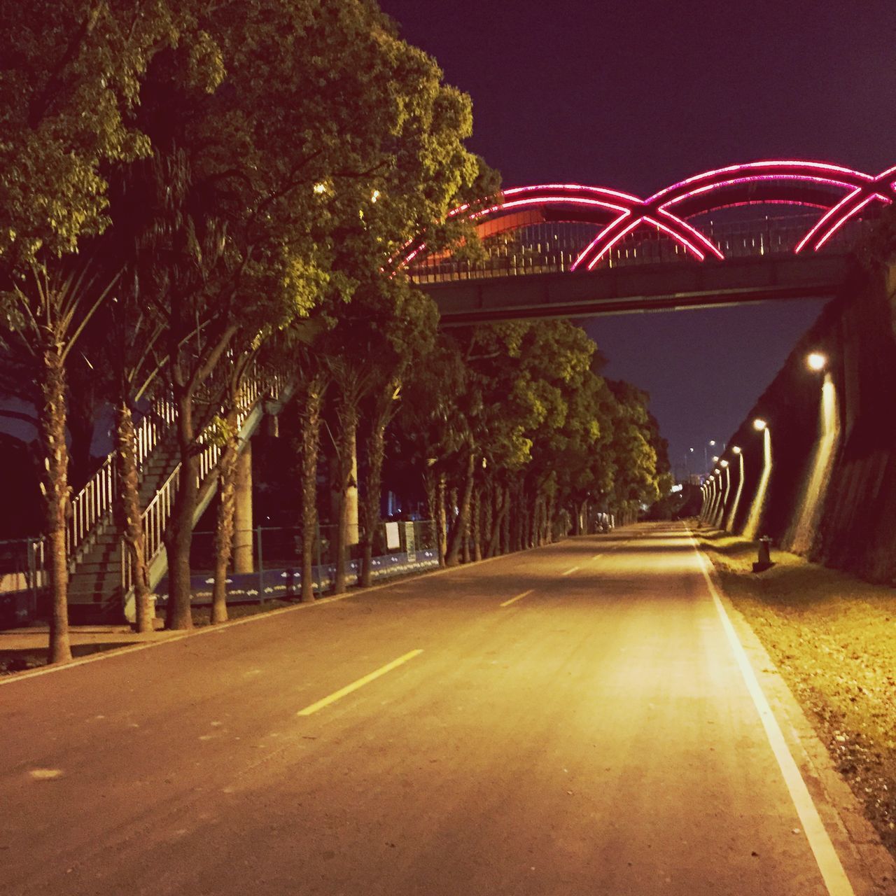 transportation, the way forward, tree, road, illuminated, night, diminishing perspective, street light, vanishing point, road marking, connection, street, bridge - man made structure, built structure, empty, lighting equipment, long, sky, outdoors, arch