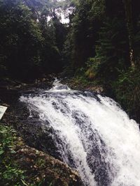 Scenic view of waterfall in forest