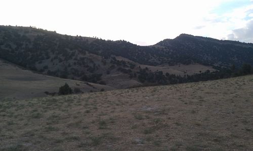 Scenic view of landscape against sky