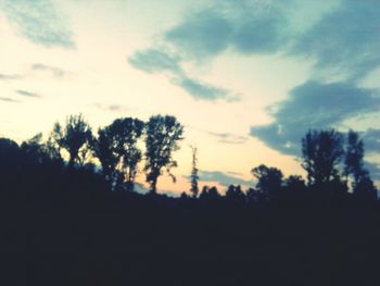 Silhouette of trees at sunset