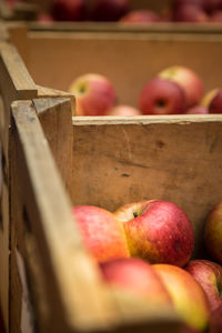 Close-up of apples