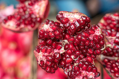 Close-up of red pomegranate seeds