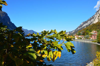 Scenic view of lake against clear blue sky