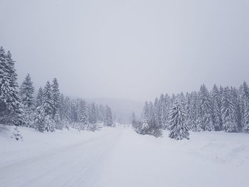 Snow covered land and trees against sky