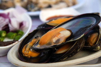 Close-up of boiled shell in plate