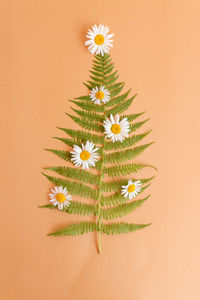 Summer christmas tree made of fern and chamomile flowers with copy space. alternative celebration 