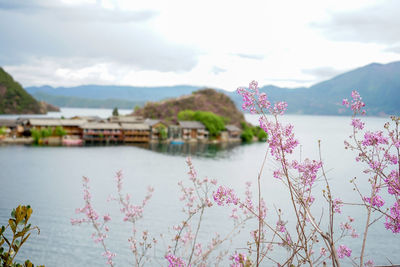 Scenic view of river by buildings against sky