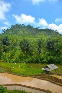 Scenic view of field against sky