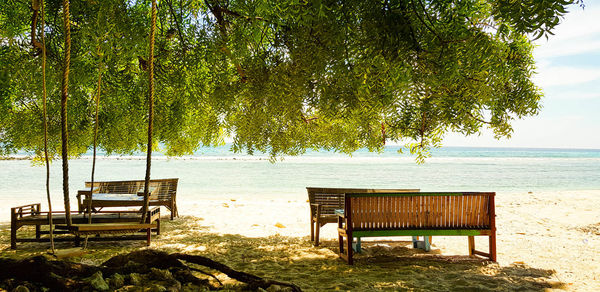 Empty bench by sea against trees