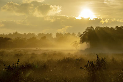 Scenic view of landscape against sky during sunset