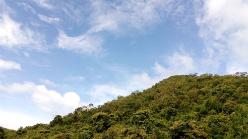 Low angle view of trees against cloudy sky