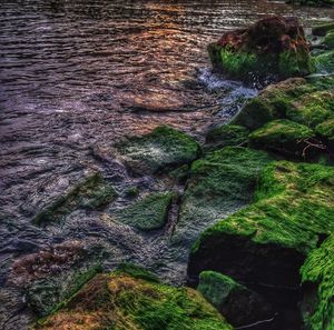 Rocks in sea