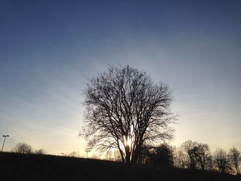 Silhouette bare trees against sky at sunset