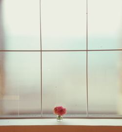 Vase on window sill
