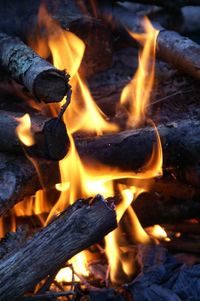 Close-up of campfire