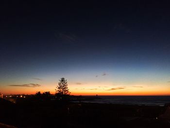 Silhouette trees on beach against sky during sunset