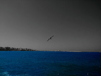 Birds flying over sea against sky