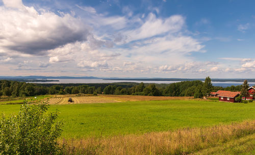 Scenic view of agricultural field against sky