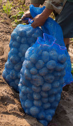 Close-up of woman working