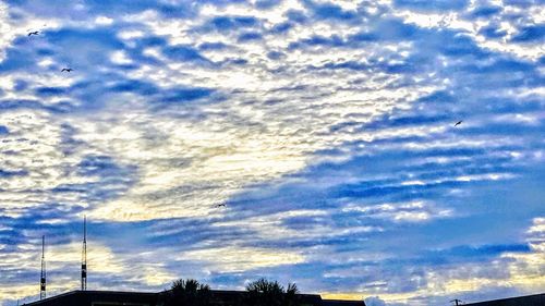 Low angle view of silhouette blue sky