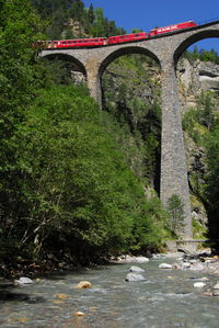 Arch bridge over river against trees