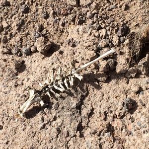 Full frame shot of white wall