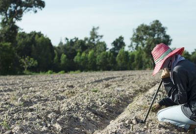 Farmers are managing pests out of the cassava plant.