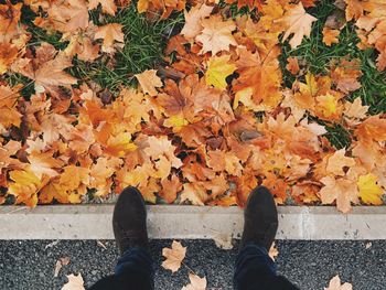 Low section of man in autumn leaves