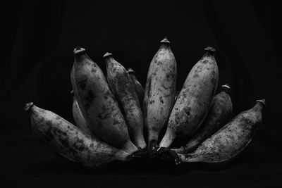 Close-up of fruit against black background