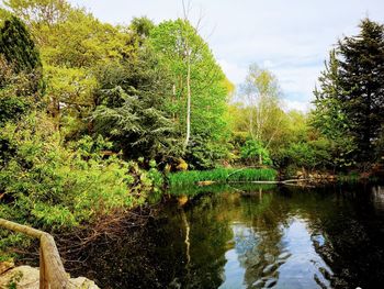 Scenic view of lake in forest against sky