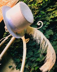 Close-up of snake on plant