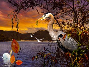 Birds perching on a lake