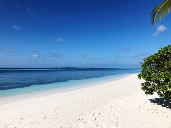 Scenic view of beach against blue sky