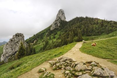 Scenic view of rotwand against sky