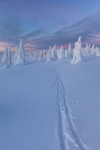 Snow covered land against sky