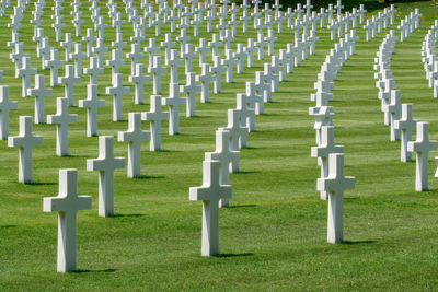 Row of cemetery