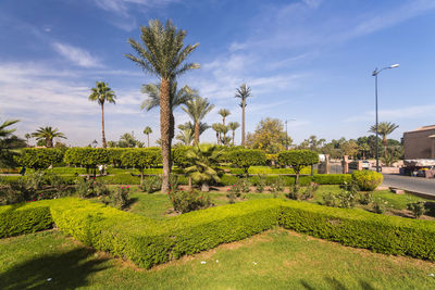 Parc lalla hasna bseide koutoubia mosque