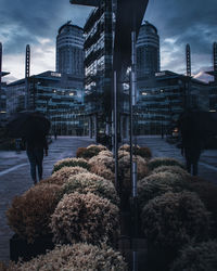 Rear view of man standing by illuminated buildings in city