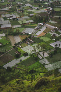 High angle view of agricultural field