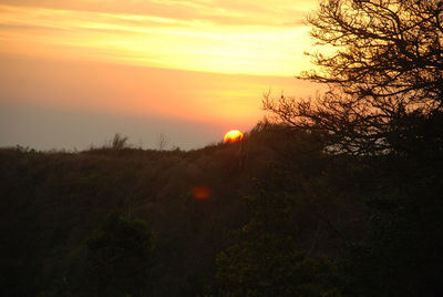 Silhouette trees against sky during sunset