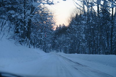 Snow covered road amidst trees against sky during winter