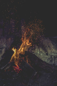 Firework display at night