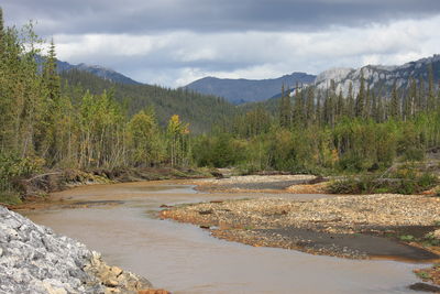 Scenic view of river amidst trees against sky