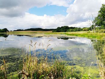 Reflection of clouds in lake