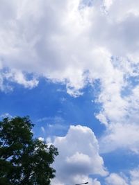 Low angle view of trees against blue sky
