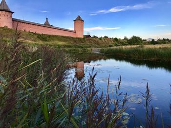 Plants growing by lake and building against sky