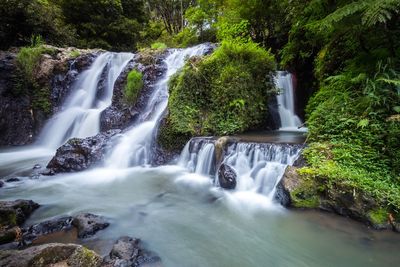 Scenic view of waterfall in forest