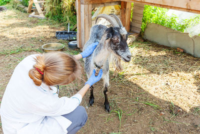 Rear view of woman with goat on field