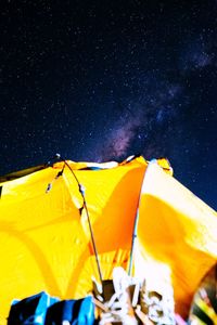Close-up of tree against blue sky